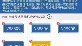 选车牌号技巧_选车牌号技巧与规律